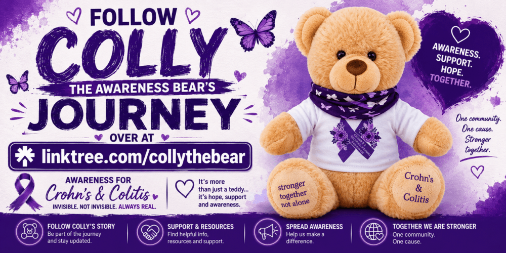 Follow Colly The Bears Journey